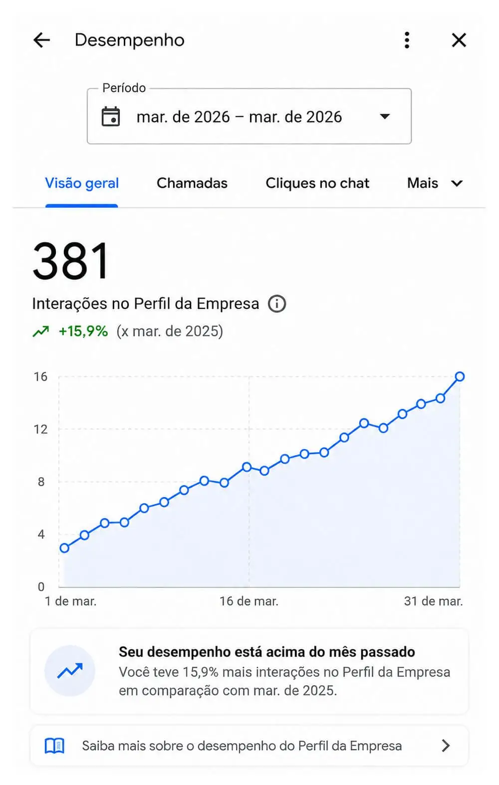 Print do desempenho do Perfil da Empresa no Google