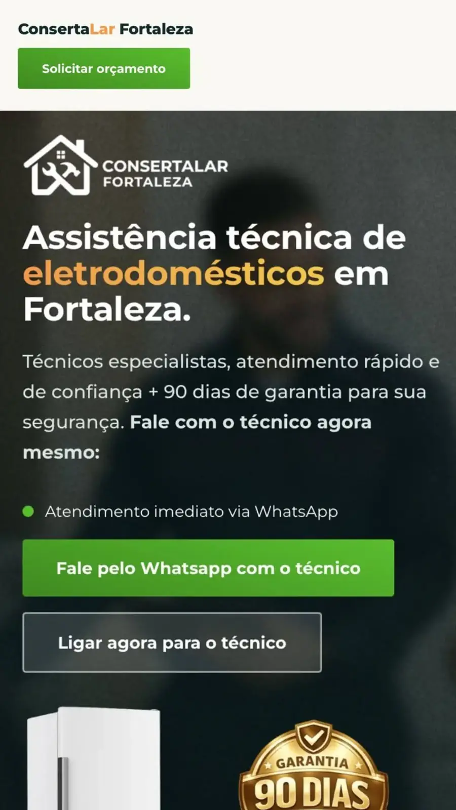 Screenshot da página (seção inicial) — Assistência técnica de eletrodomésticos
